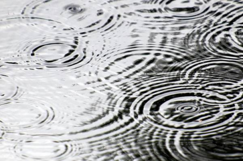 (image of ripples in a pond)