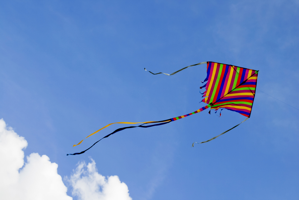 (image of a kite flying in the air)
