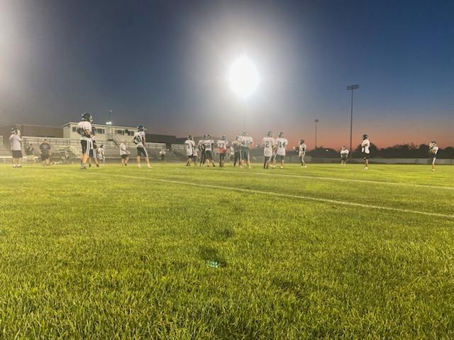 Under the lights