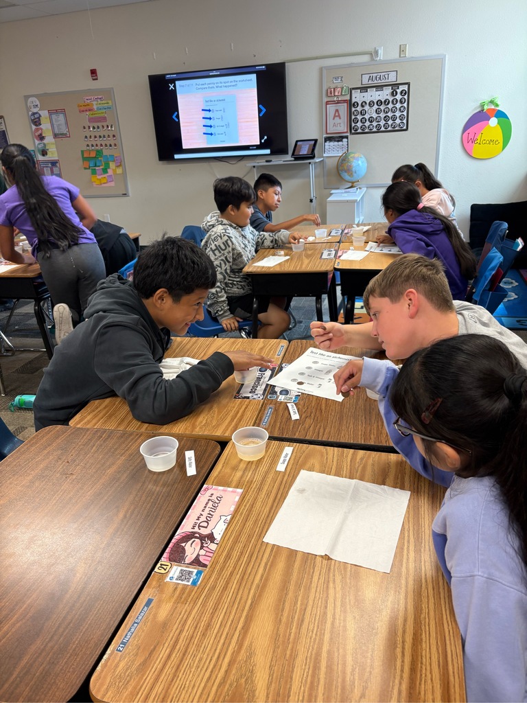 🔬 Curious minds at work! Our young scientists explored, experimented, and discovered the wonders of science through hands-on learning today. 🌟 Learning beyond the books, one experiment at a time! 👩🔬👨🔬