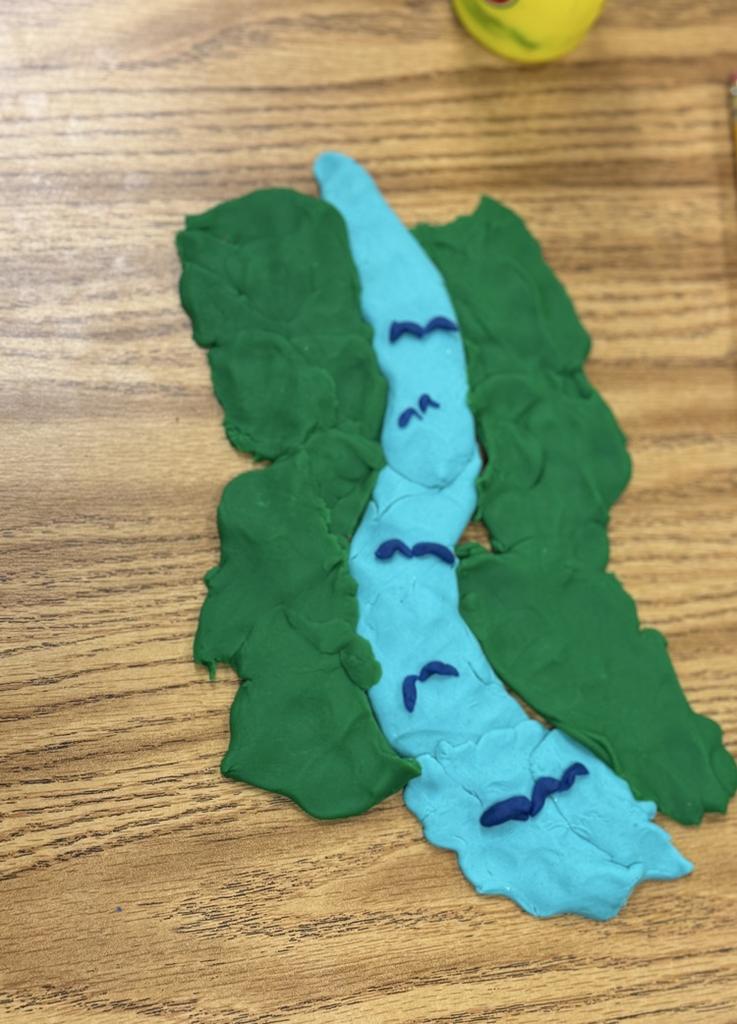river delta
