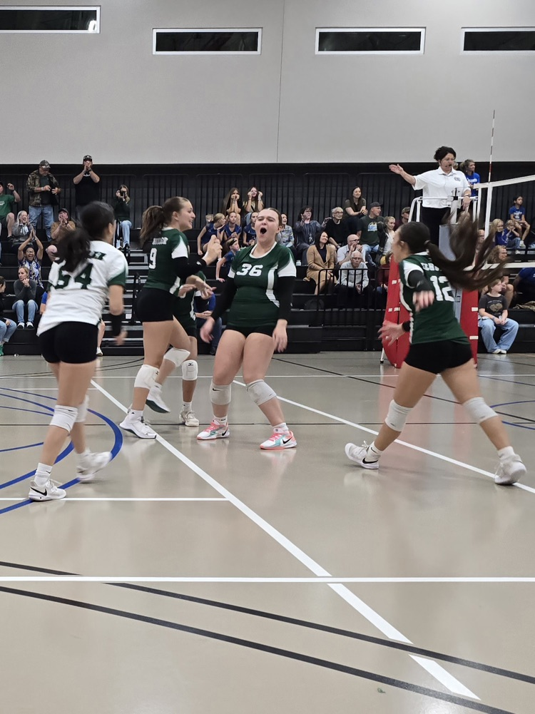 VB w