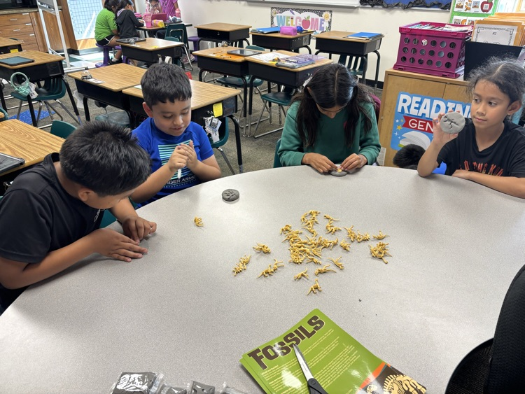 making fossils