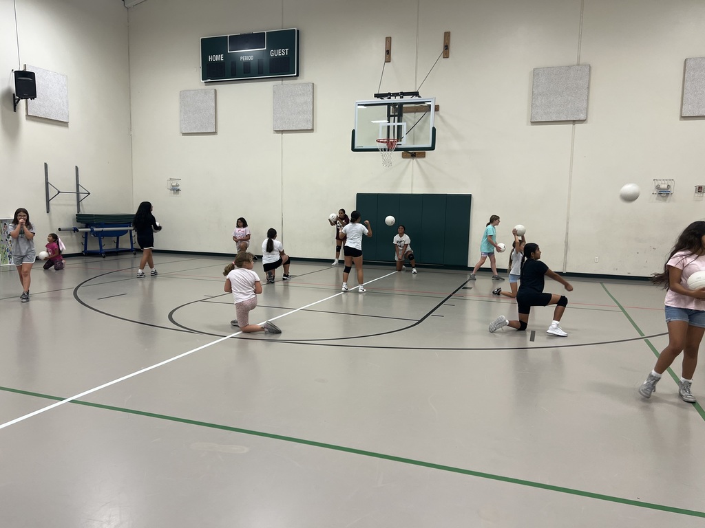 YouthVB5