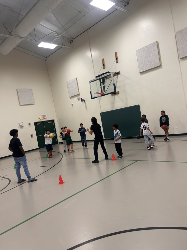 Fun in the Gym