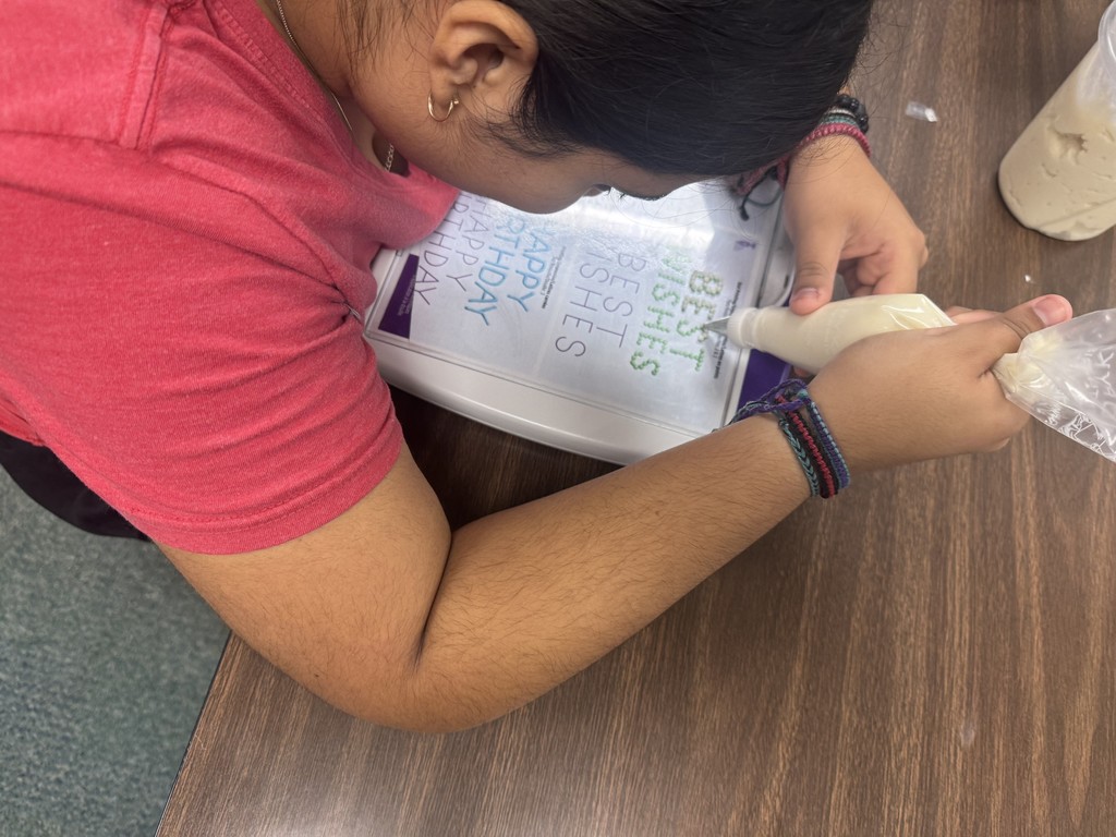 SCHS student, Evelyn, trying dot writing on the practice board.