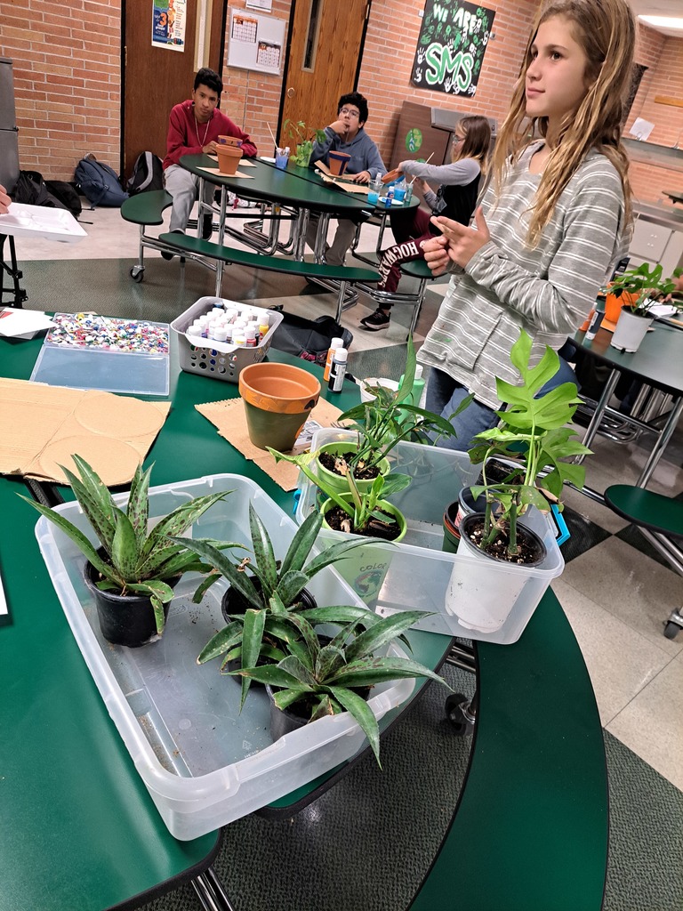 plants