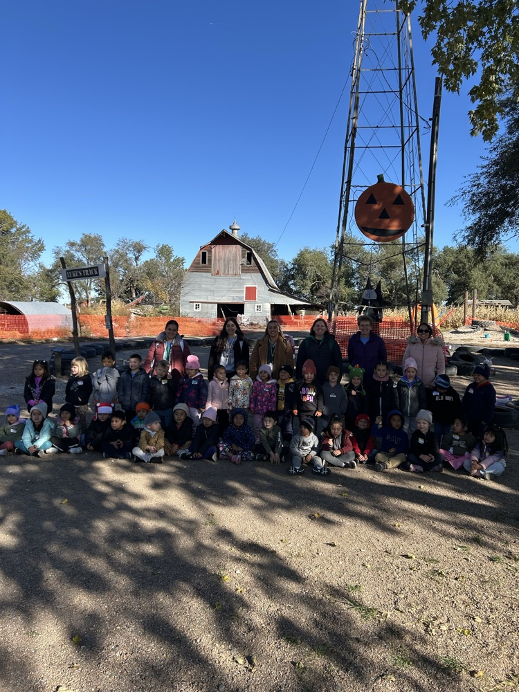 pumpkin patch