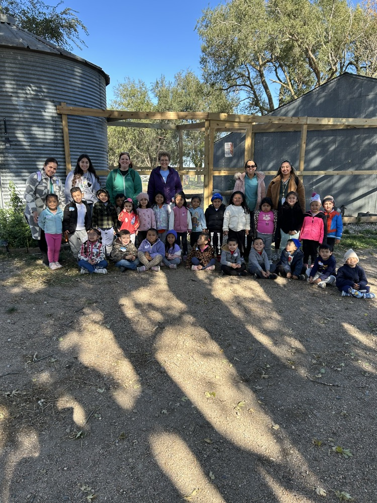 pumpkin patch