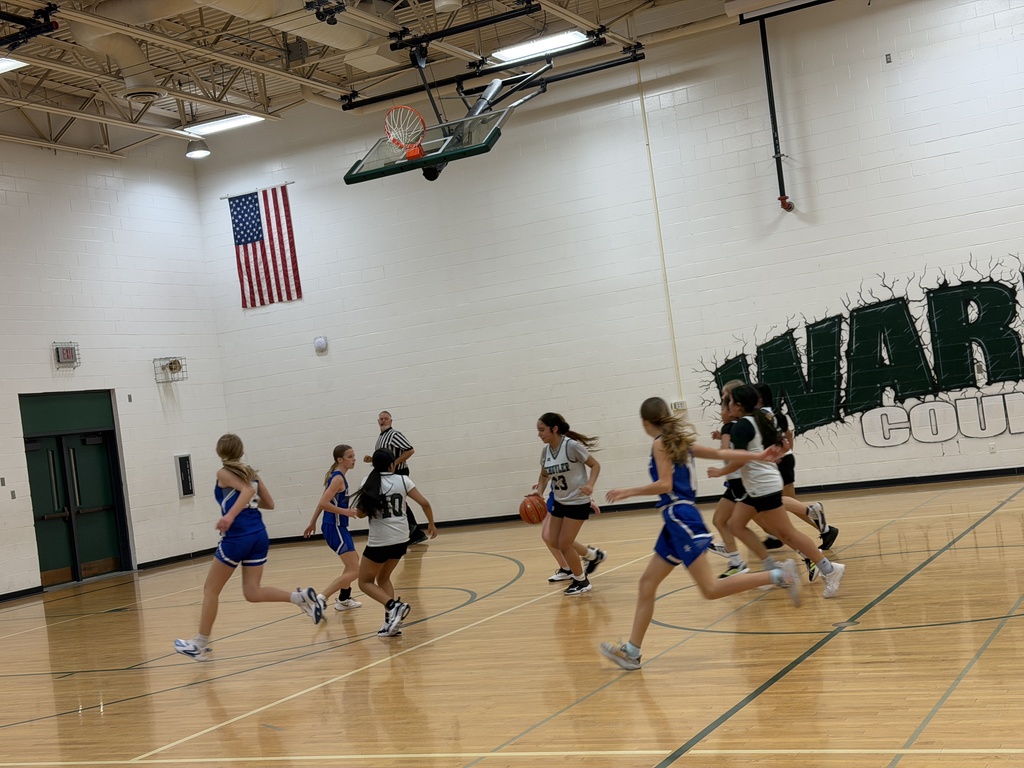 Queens of the court. Lakeview couldn’t stop us. 👑🔥 #GameDayWin #SchuylerMSGirlsBasketball