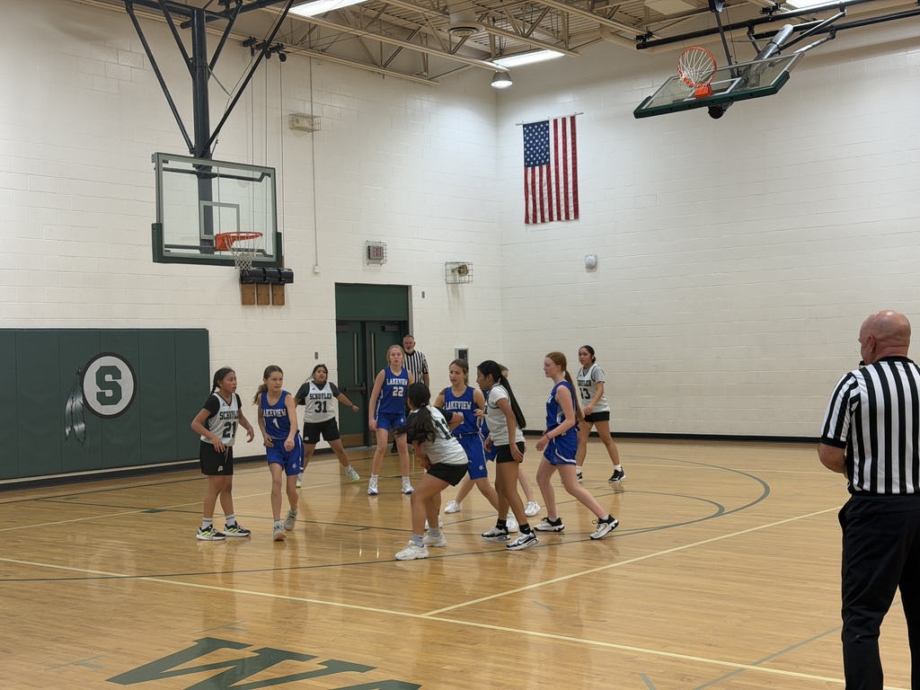 Queens of the court. Lakeview couldn’t stop us. 👑🔥 #GameDayWin #SchuylerMSGirlsBasketball