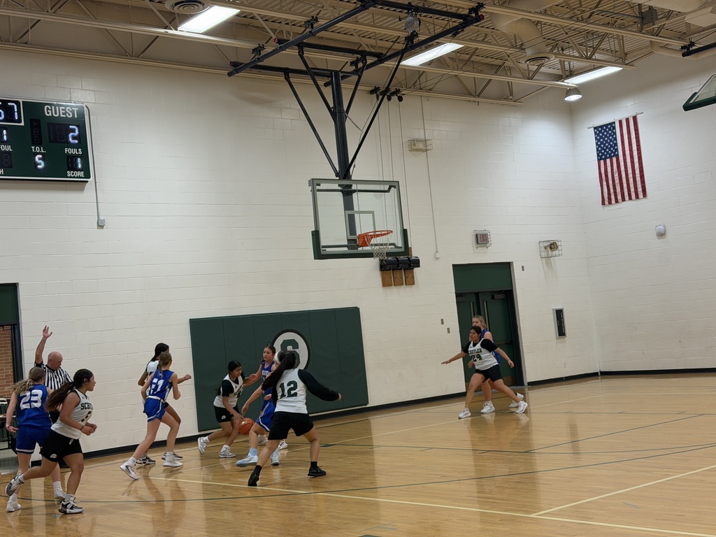 Queens of the court. Lakeview couldn’t stop us. 👑🔥 #GameDayWin #SchuylerMSGirlsBasketball