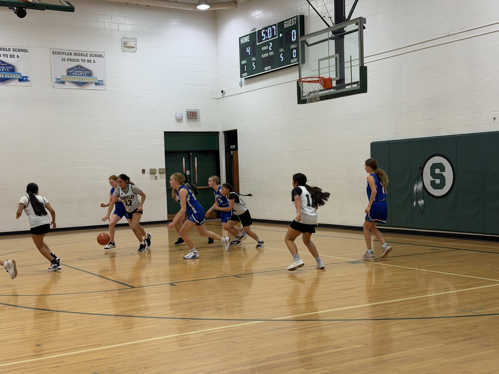 Queens of the court. Lakeview couldn’t stop us. 👑🔥 #GameDayWin #SchuylerMSGirlsBasketball