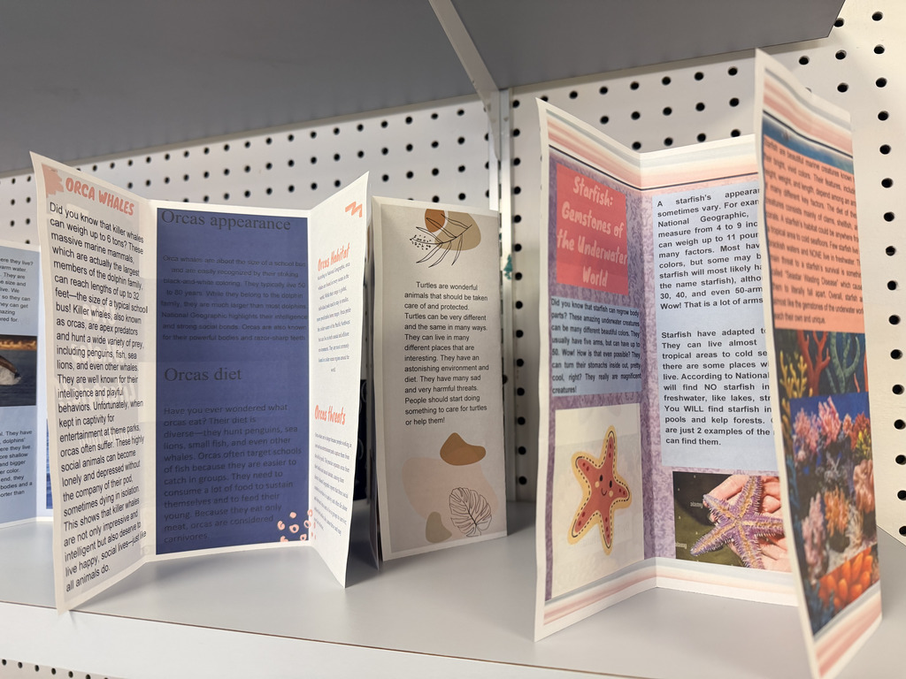 Ending the 2nd quarter with creativity—6th graders transformed informational essays into brochures and presented their work 📘