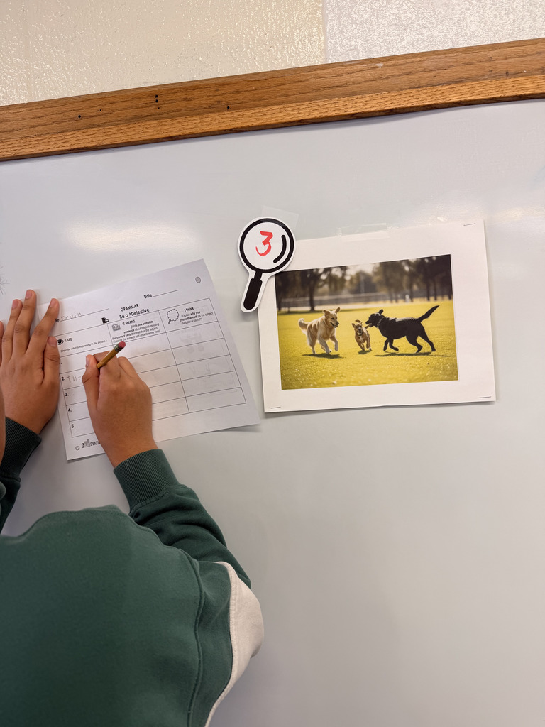 🕵️♀️📸 Be a Grammar Detective in action! 6th Grade writing students used pictures, teamwork, and discussion to practice subject-verb agreement—finding the subject, choosing the correct verb, and explaining their thinking. Visuals + movement = deeper learning!