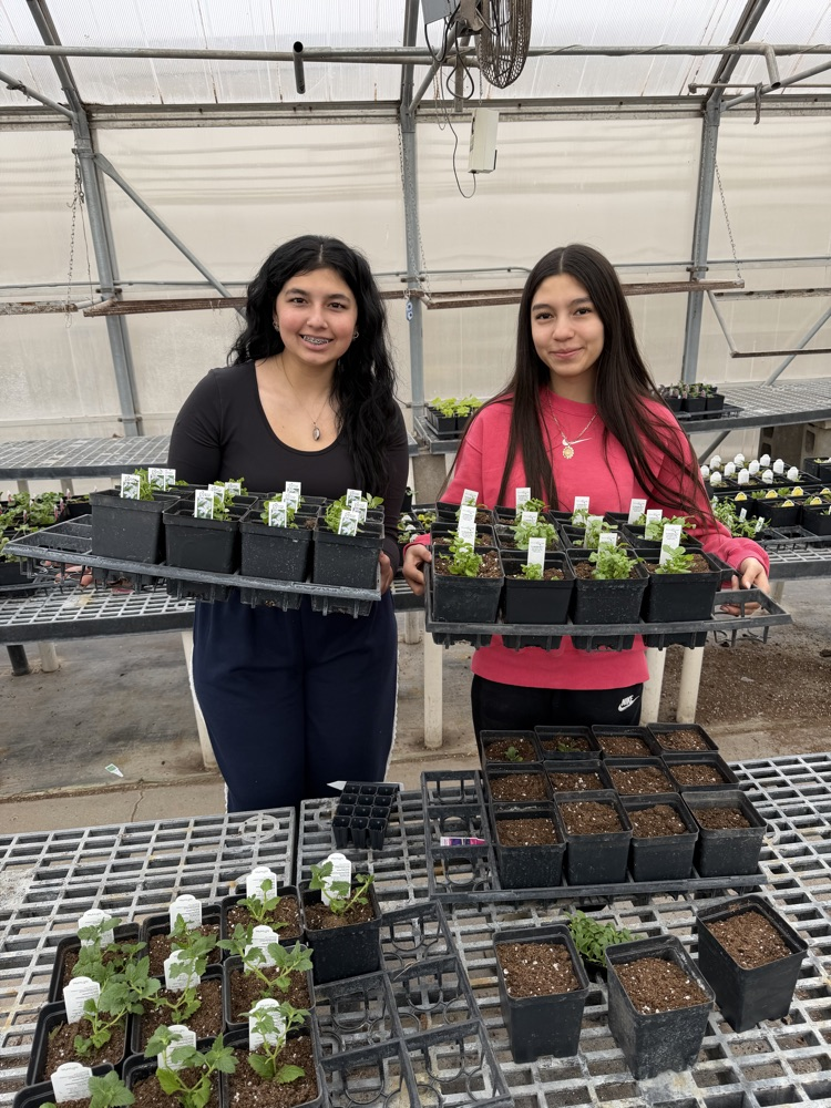  Miss Pieke’s plant classes have been hard at work in the greenhouse transplanting plant plugs and learning the process of helping them grow. 