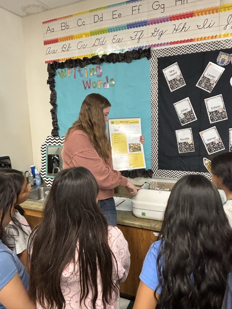 explaining the process