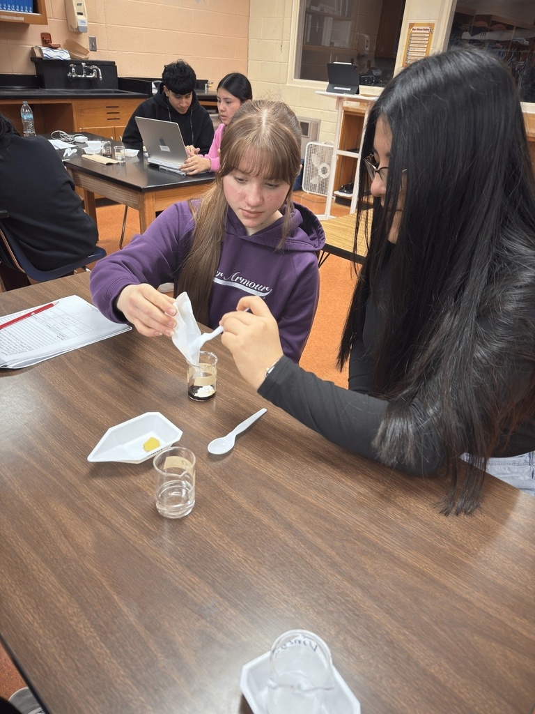 Mix it, watch it, learn it! Grade 9 Physical Science students of Mrs. Ramos at Schuyler Central High School are turning simple materials into exciting discoveries as they explore chemical reactions—where every drop, stir, and fizz sparks curiosity and real learning!