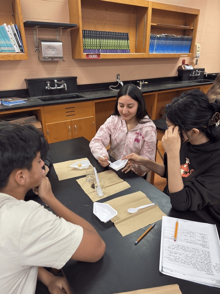 Mix it, watch it, learn it! Grade 9 Physical Science students of Mrs. Ramos at Schuyler Central High School are turning simple materials into exciting discoveries as they explore chemical reactions—where every drop, stir, and fizz sparks curiosity and real learning!