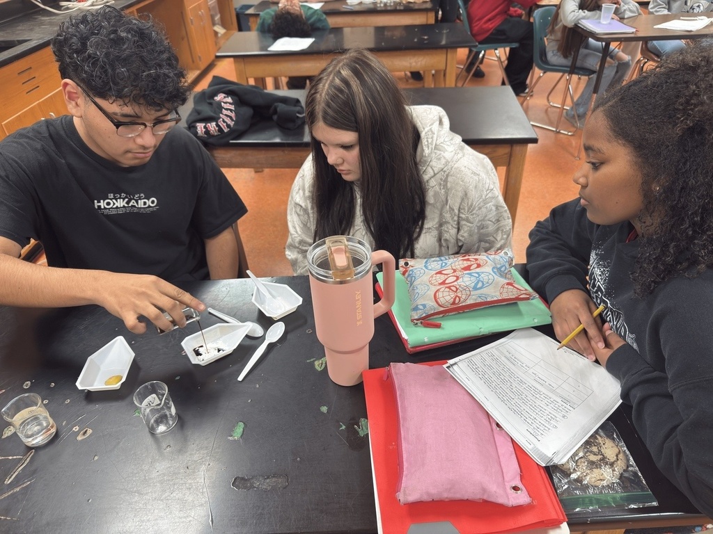 Mix it, watch it, learn it! Grade 9 Physical Science students of Mrs. Ramos at Schuyler Central High School are turning simple materials into exciting discoveries as they explore chemical reactions. Every drop, stir, and fizz sparks curiosity and real learning!
