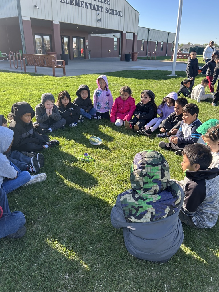 Ladybugs are released.  