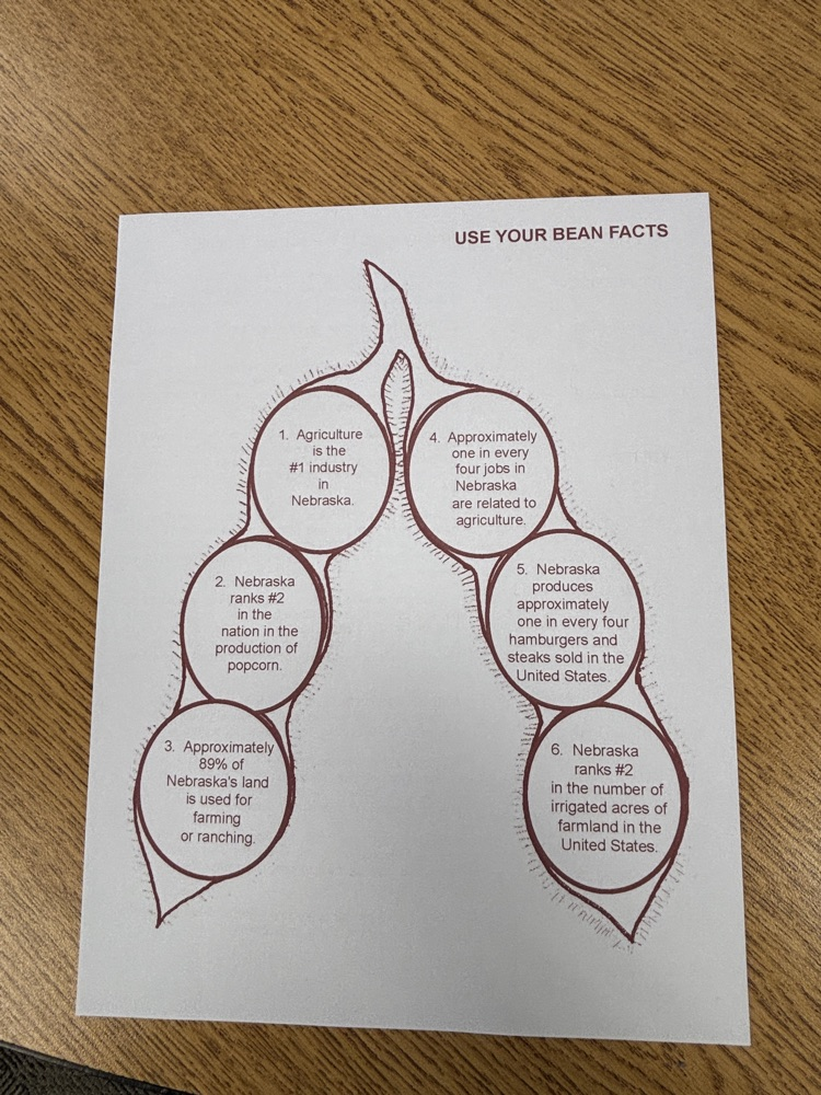 soybean diagram 