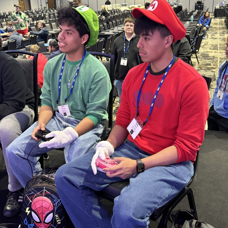 Mario Bros