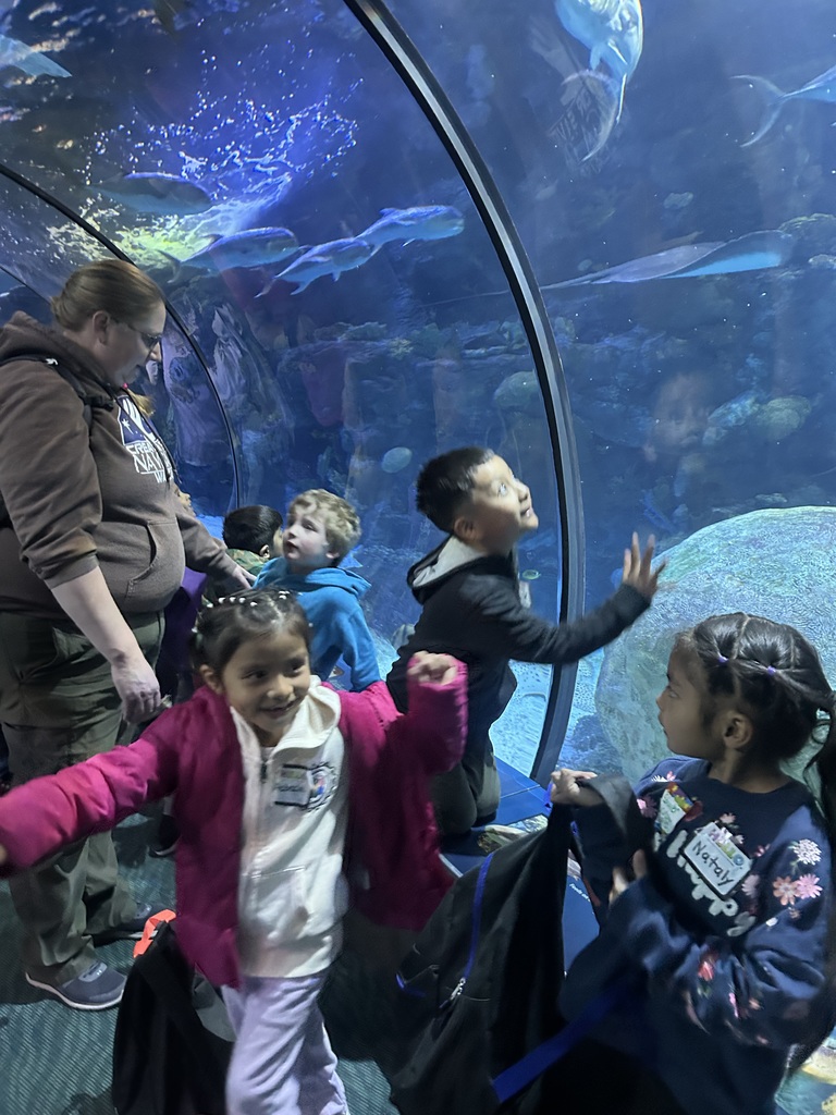 Kindergarten students had fun exploring the zoo! 