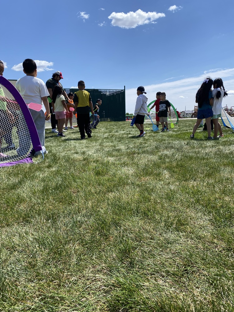 field day