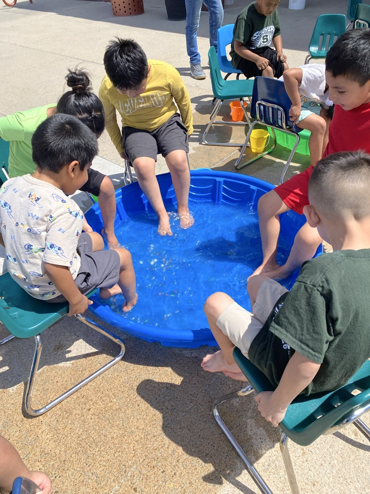 field day