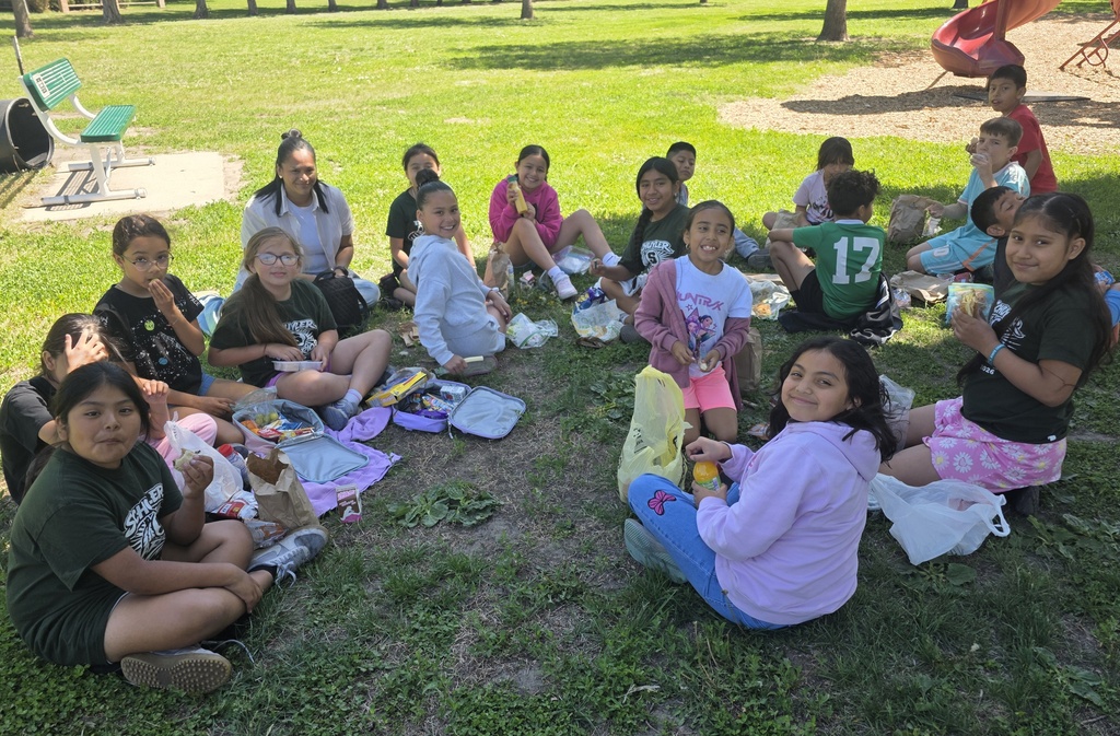 We are having a picnic! 