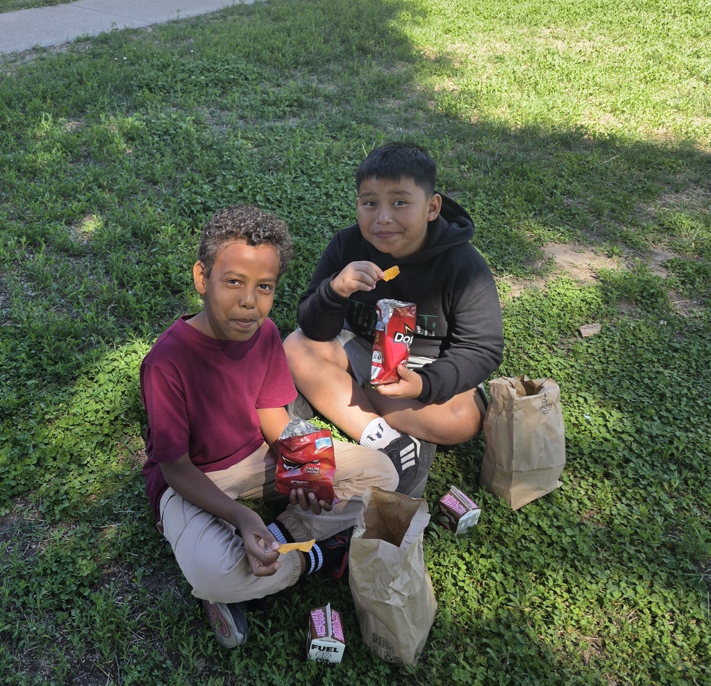 We are having a picnic! 