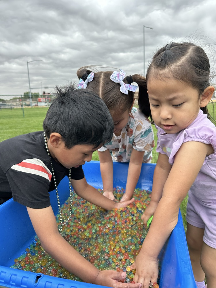 Water Day