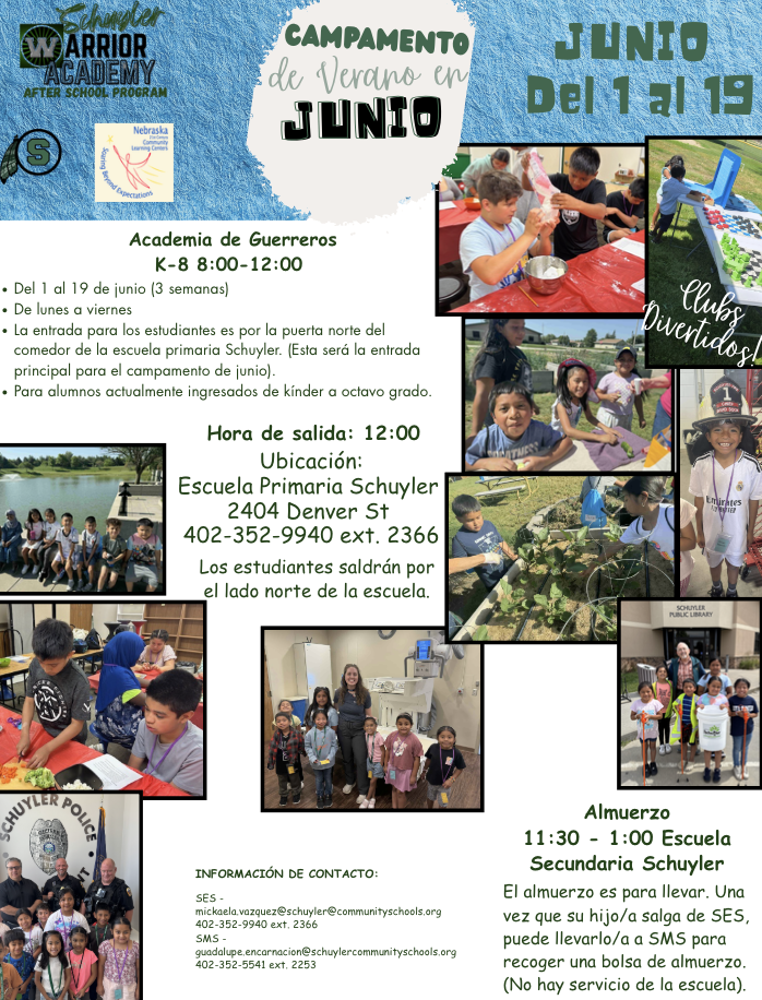 Description of summer camp