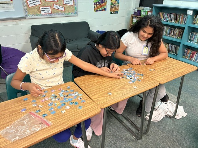 puzzle work