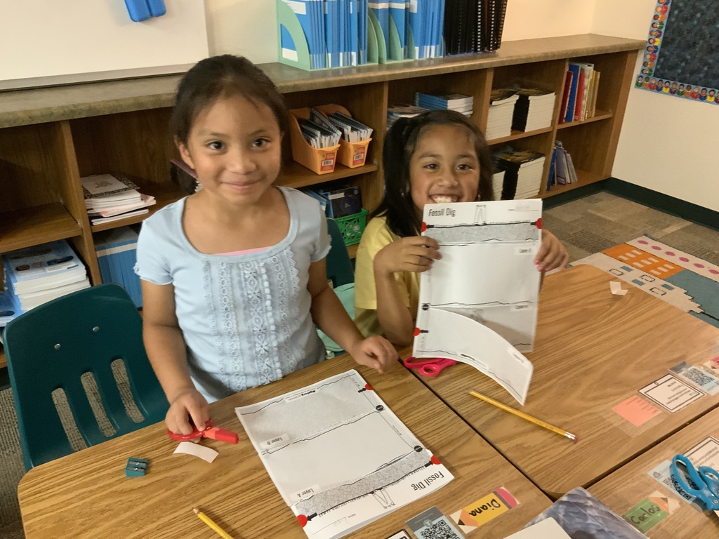 Fossil Dig Activity