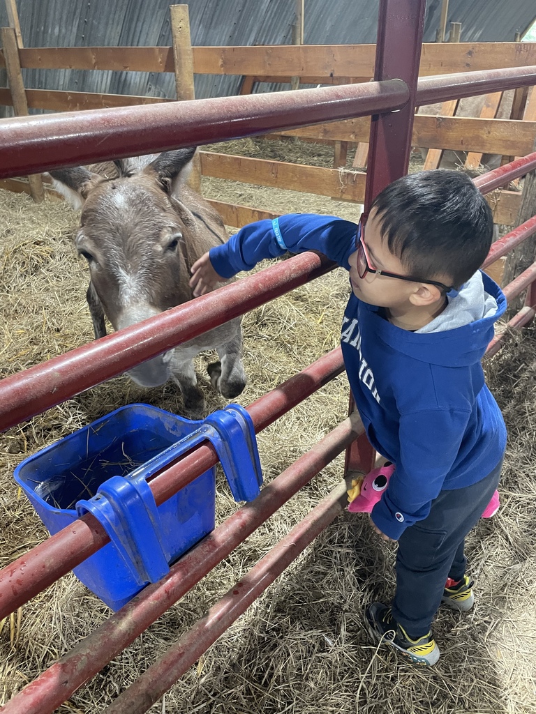 Nelson Produce Farm