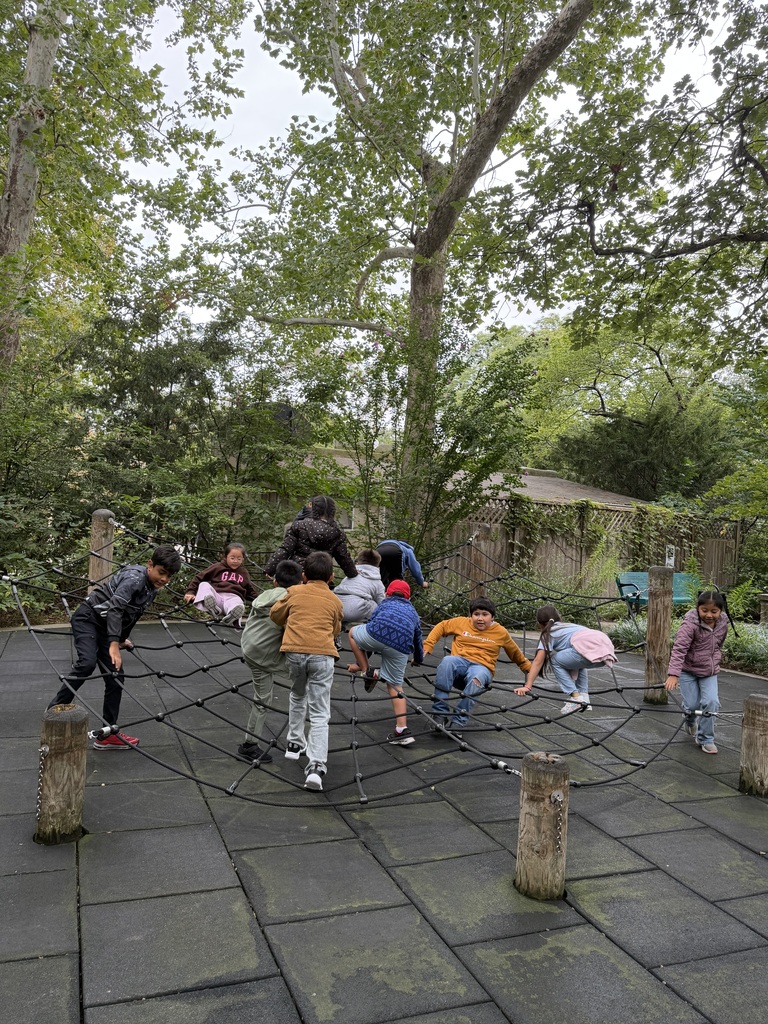 Mrs. Cariit’s class had enjoyed at Lincoln Zoo