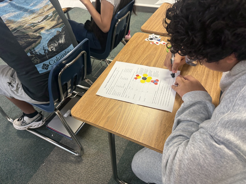 students using paper atom models to build simple molecules