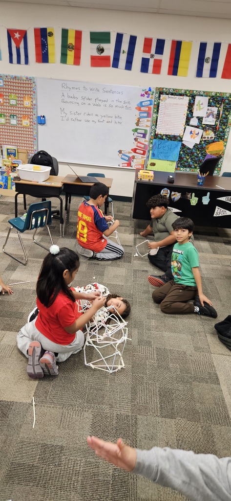 straw building stem