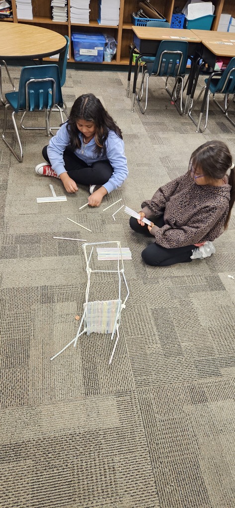 straw building stem