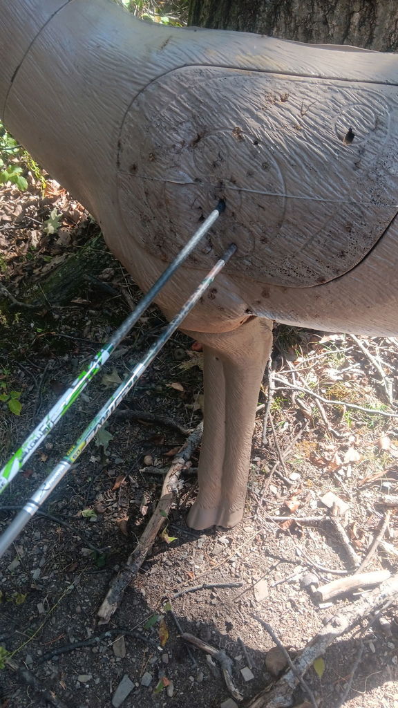 Haven Archery Club