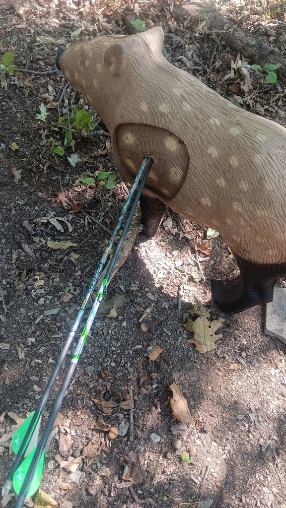 Haven Archery Club