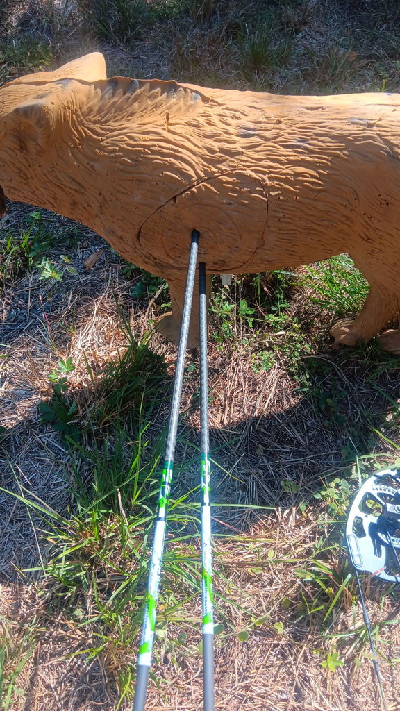 Haven Archery Club