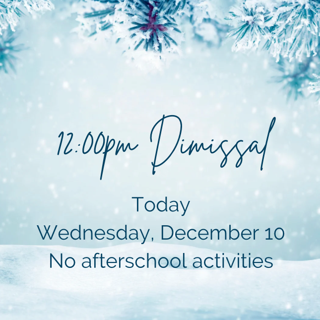 Screenshot 2025-12-10 at 10