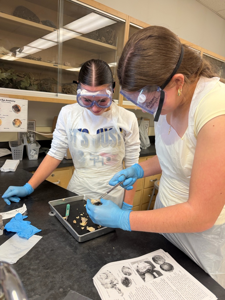 Honors Anatomy & Physiology