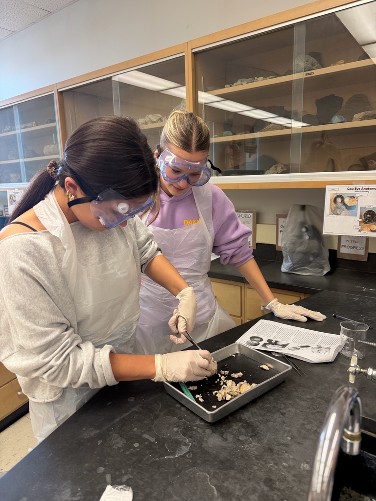 Honors Anatomy & Physiology