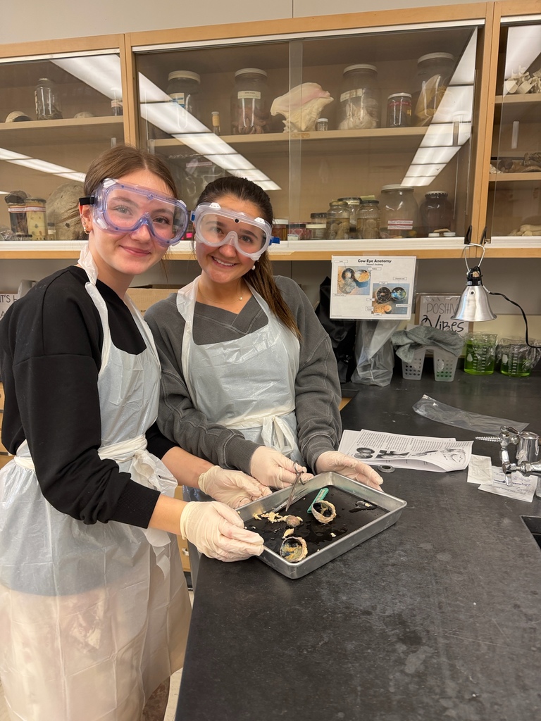 Honors Anatomy & Physiology