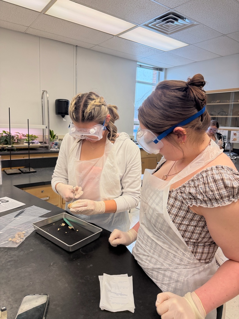 Honors Anatomy & Physiology