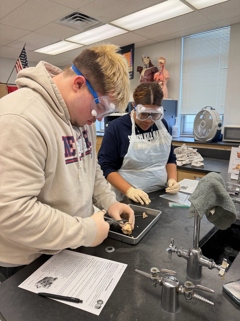 Honors Anatomy & Physiology